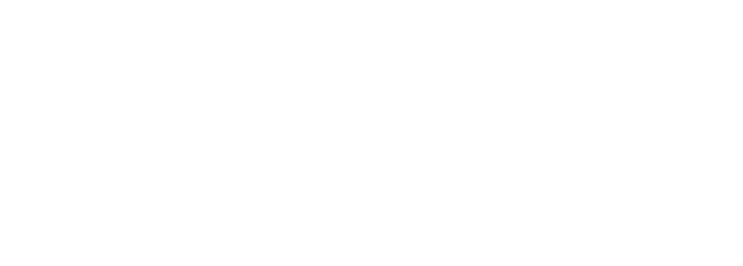 Scout Systems Logo